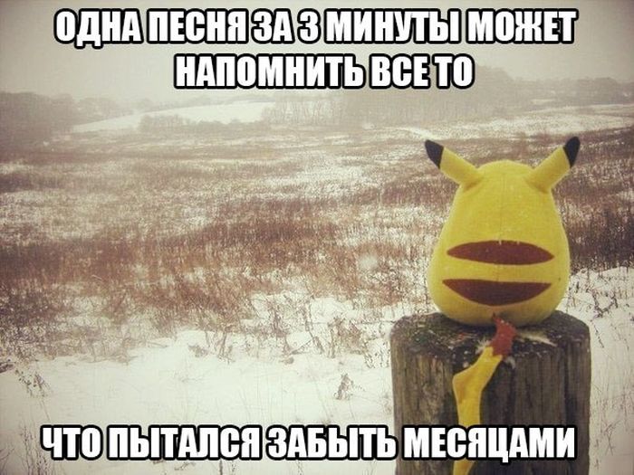 Порция картинок