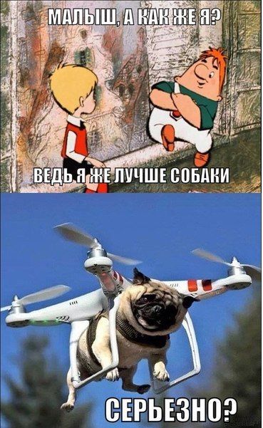 Порция картинок