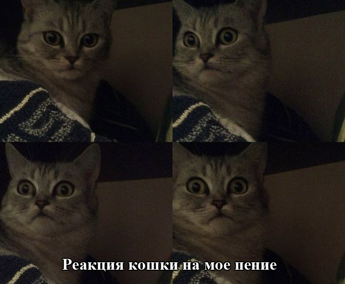 Порция картинок