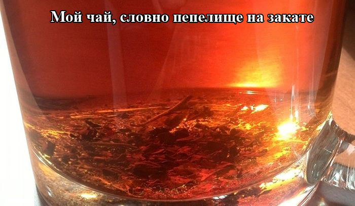 Порция картинок