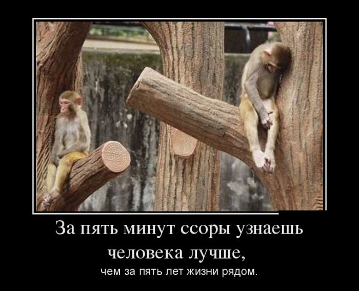 Демотиваторы