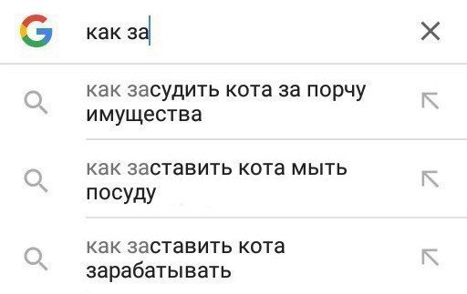 Свежий юмор из социальных сетей