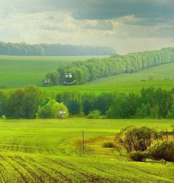 Прикольные картинки