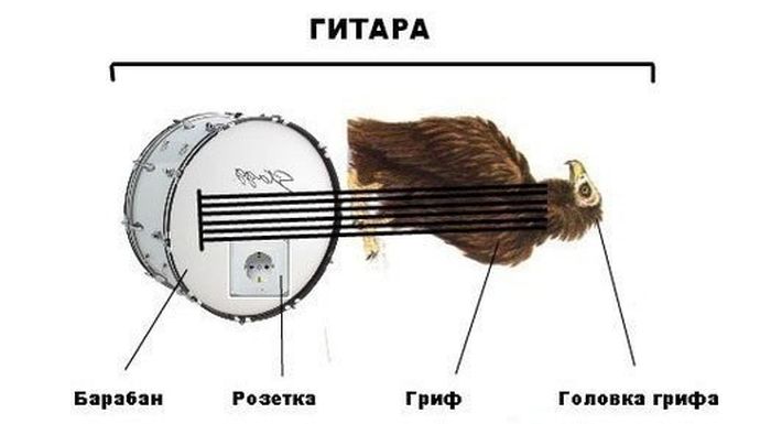 Прикольные картинки