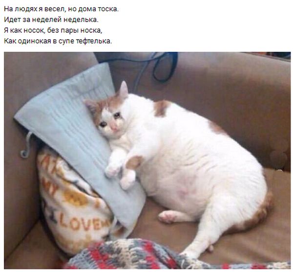 Прикольные картинки