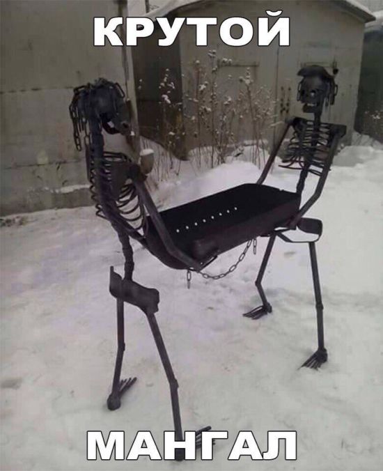Прикольные картинки