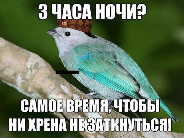 Веселые комиксы