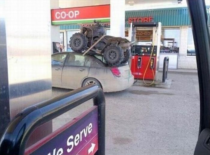 Прикольные картинки