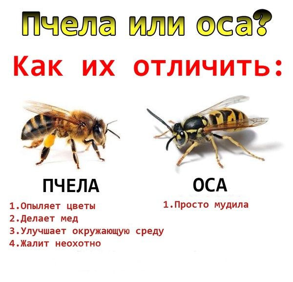 Прикольные картинки  (69 фото)