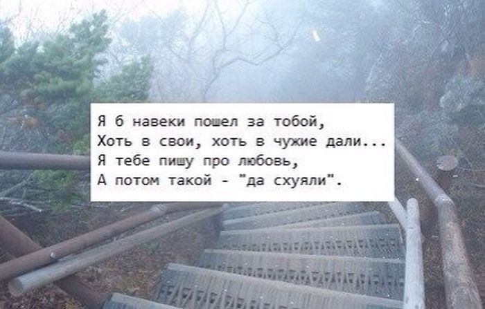 Прикольные картинки  (69 фото)