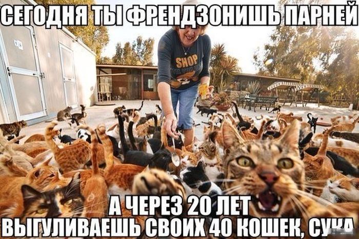 Прикольные картинки  (69 фото)