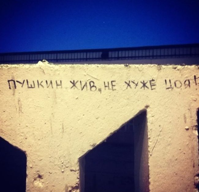 Порция картинок