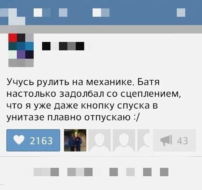 Порция картинок
