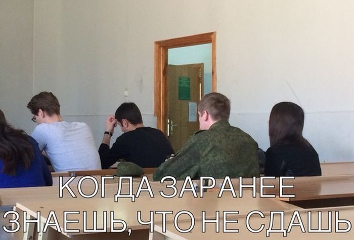 Порция картинок