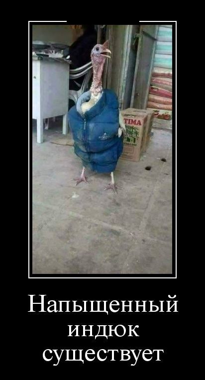 Демотиваторы