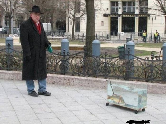Фото, на которых что-то не так