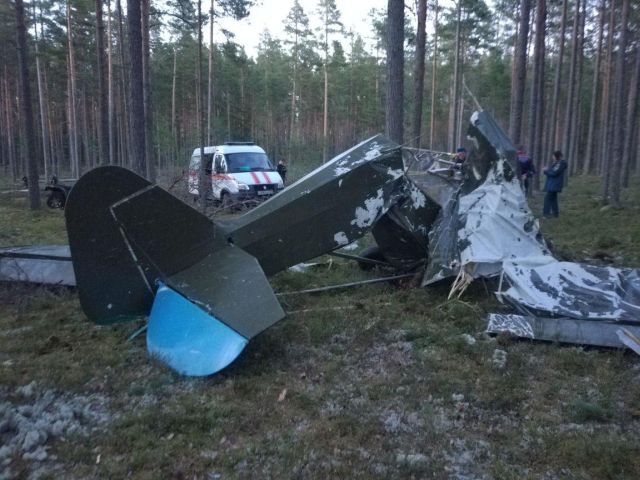 В Ленобласти разбился самодельный самолет