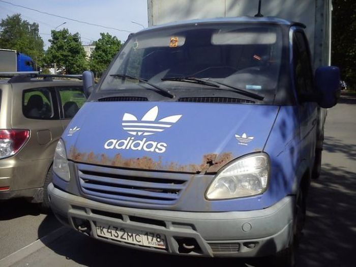Прикольные картинки