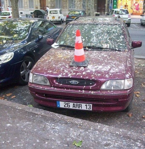 Прикольные картинки