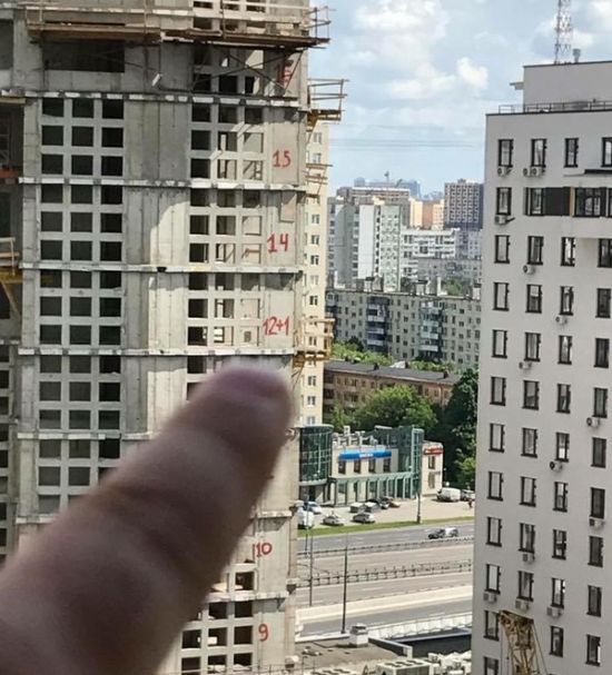 Прикольные картинки