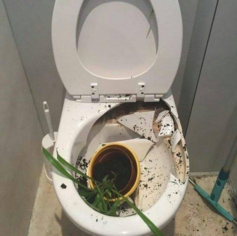 Бывают в жизни огорчения