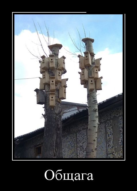 Демотиваторы