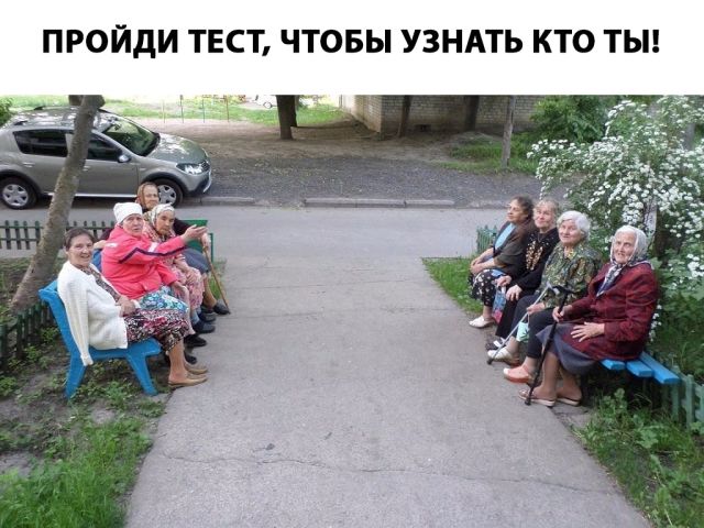 Прикольные картинки