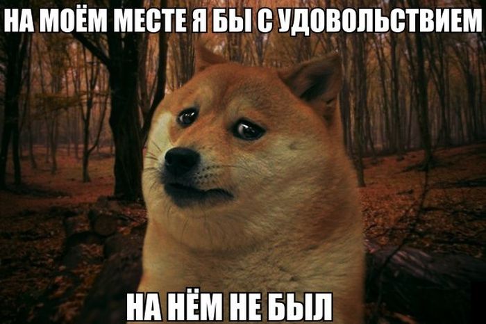 Порция картинок