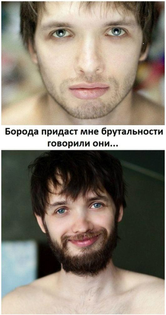 Порция картинок