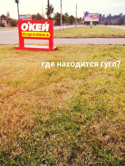 Порция картинок