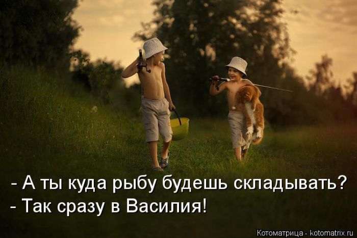 Лучшие котоматрицы недели
