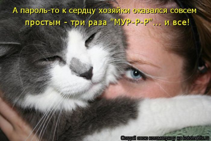 Лучшие котоматрицы недели