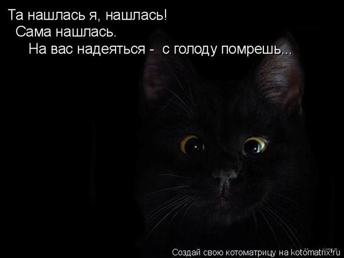 Лучшие котоматрицы недели
