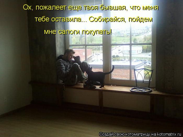 Лучшие котоматрицы недели
