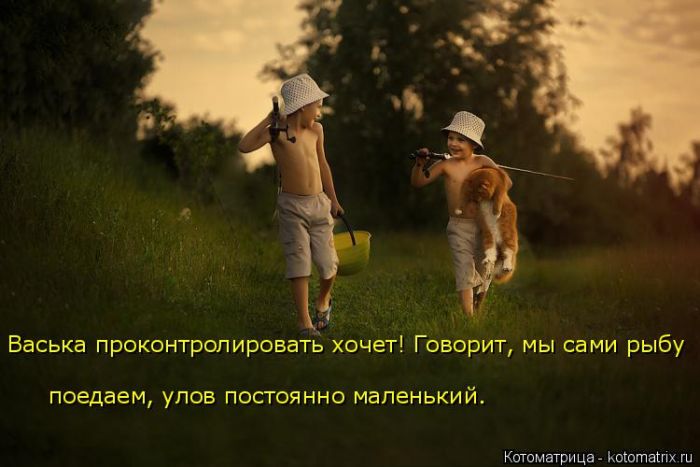 Лучшие котоматрицы недели