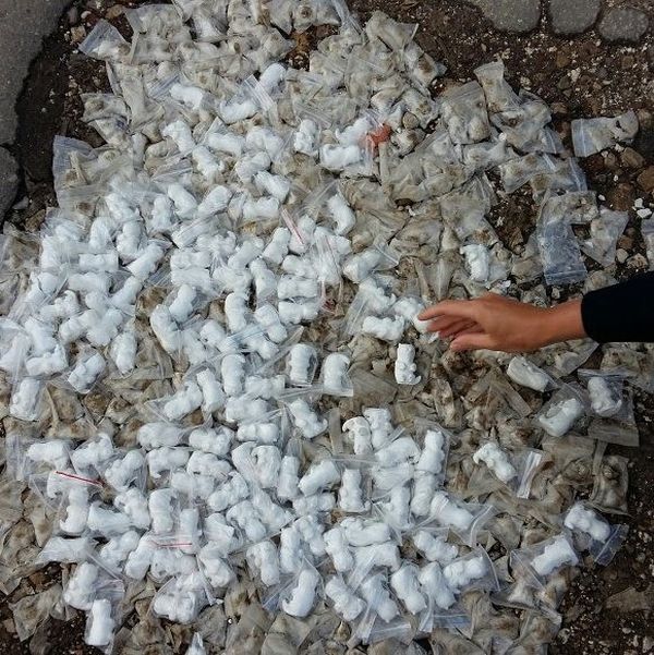 В Саратове ямы на дороге засыпали фигурками котов