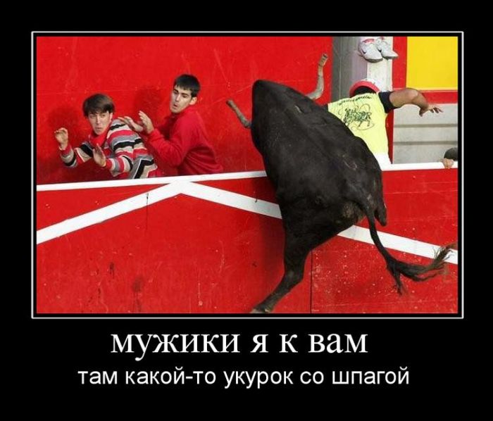 Демотиваторы