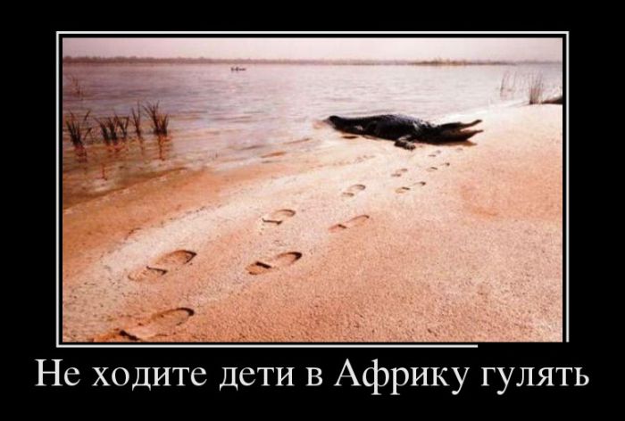 Демотиваторы
