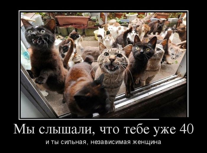 Демотиваторы