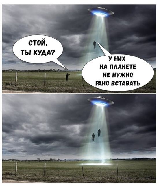 Прикольные картинки