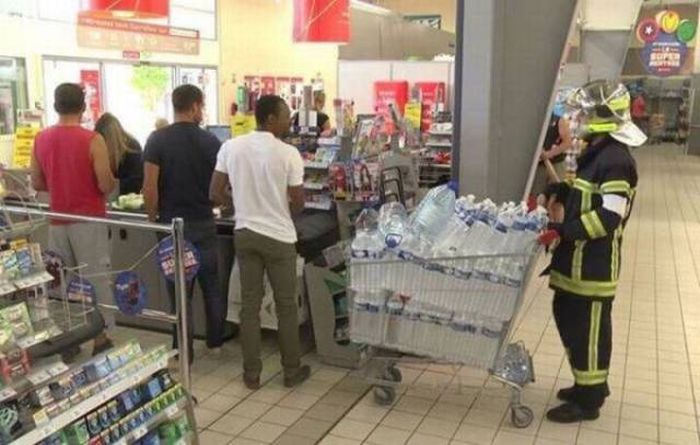 Прикольные картинки