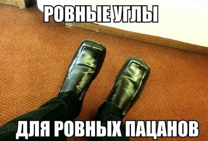Порция картинок
