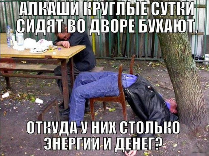Порция картинок