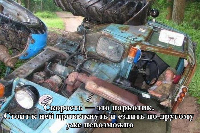 Порция картинок