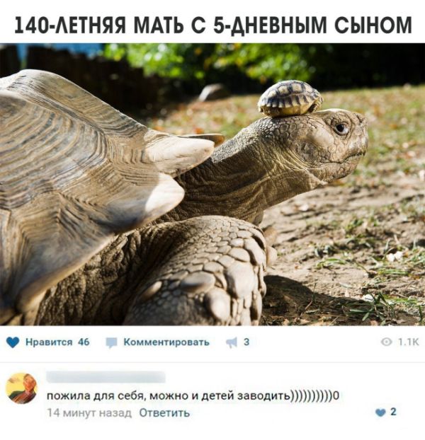Прикольные картинки