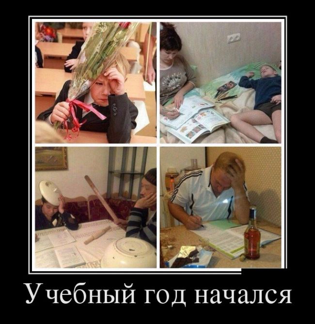 Демотиваторы