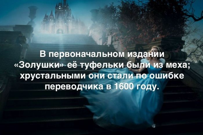 Интересные факты