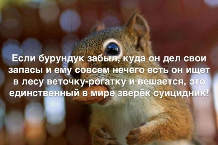 Интересные факты