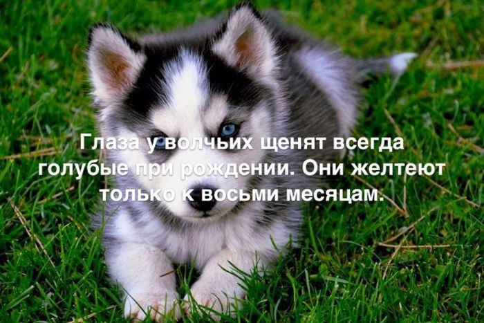 Интересные факты