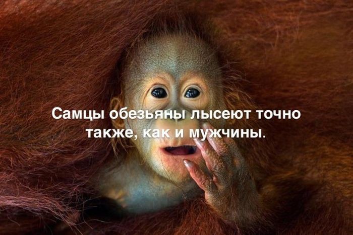 Интересные факты
